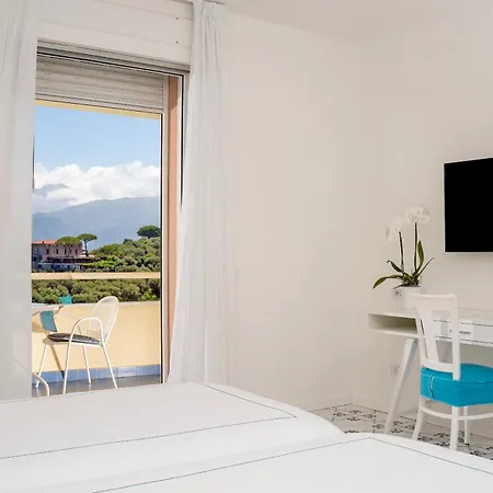 Hotel Grand Vesuvio